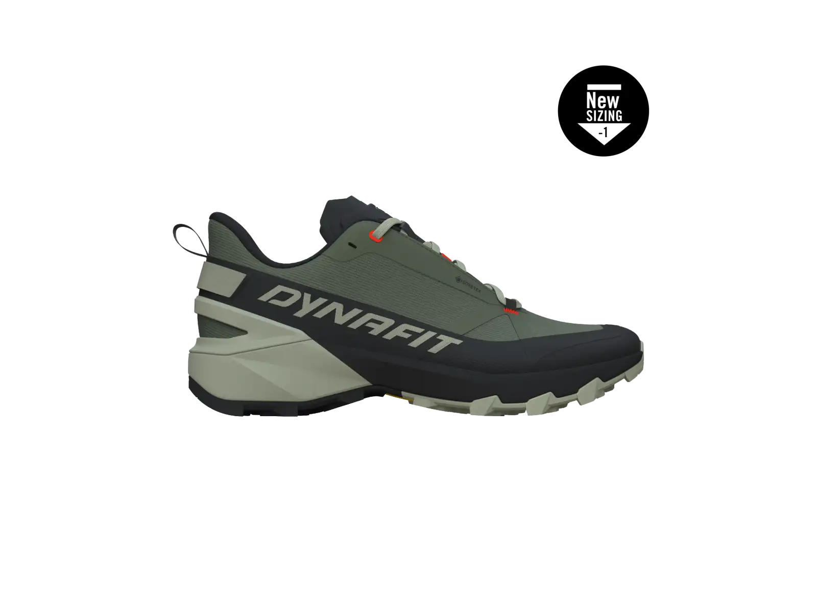 Dynafit Transalper 2 GTX Herren-Laufschuhe Black Out/Thyme