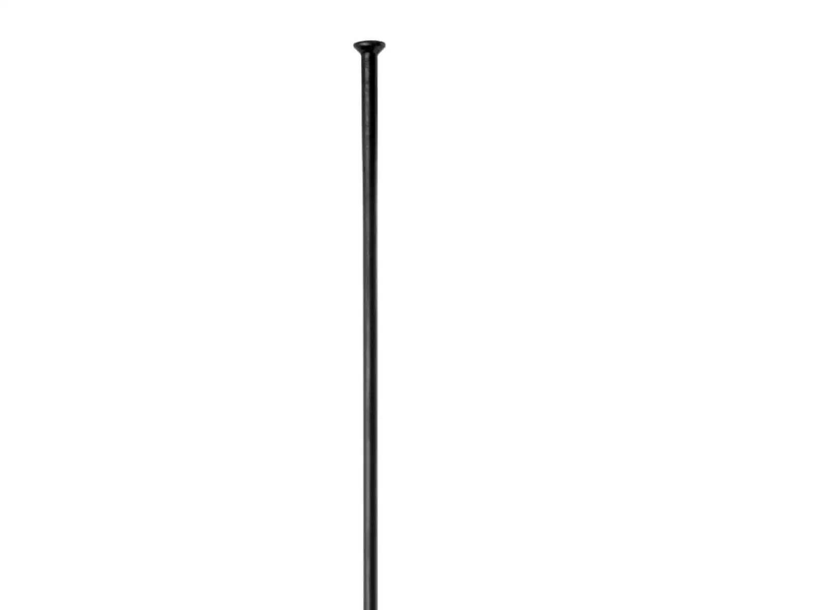 DT Swiss Champion Straightpull Speiche 2,0mm schwarz
