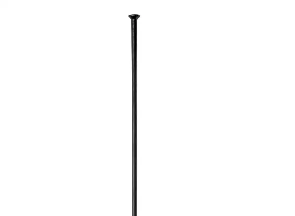 DT Swiss Champion Straightpull Speiche 2,0mm schwarz