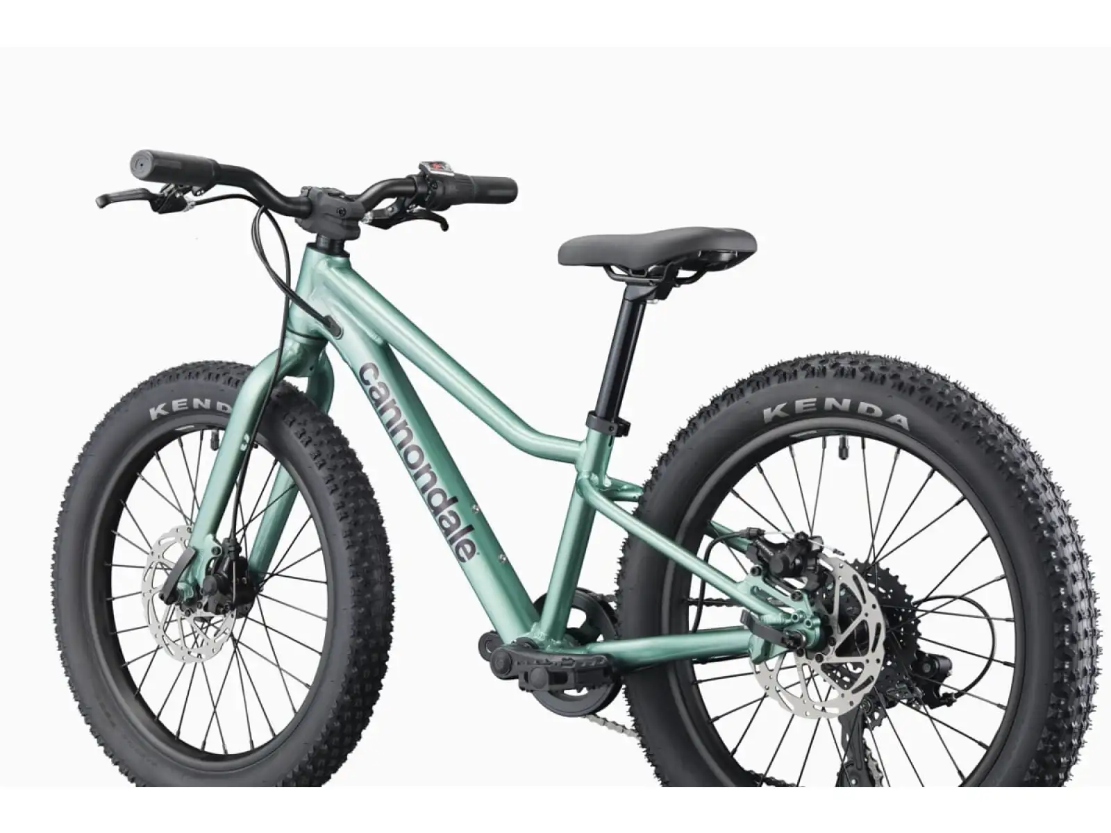 Cannondale Kids Trail Plus 20 Kinderfahrrad Cactus Green