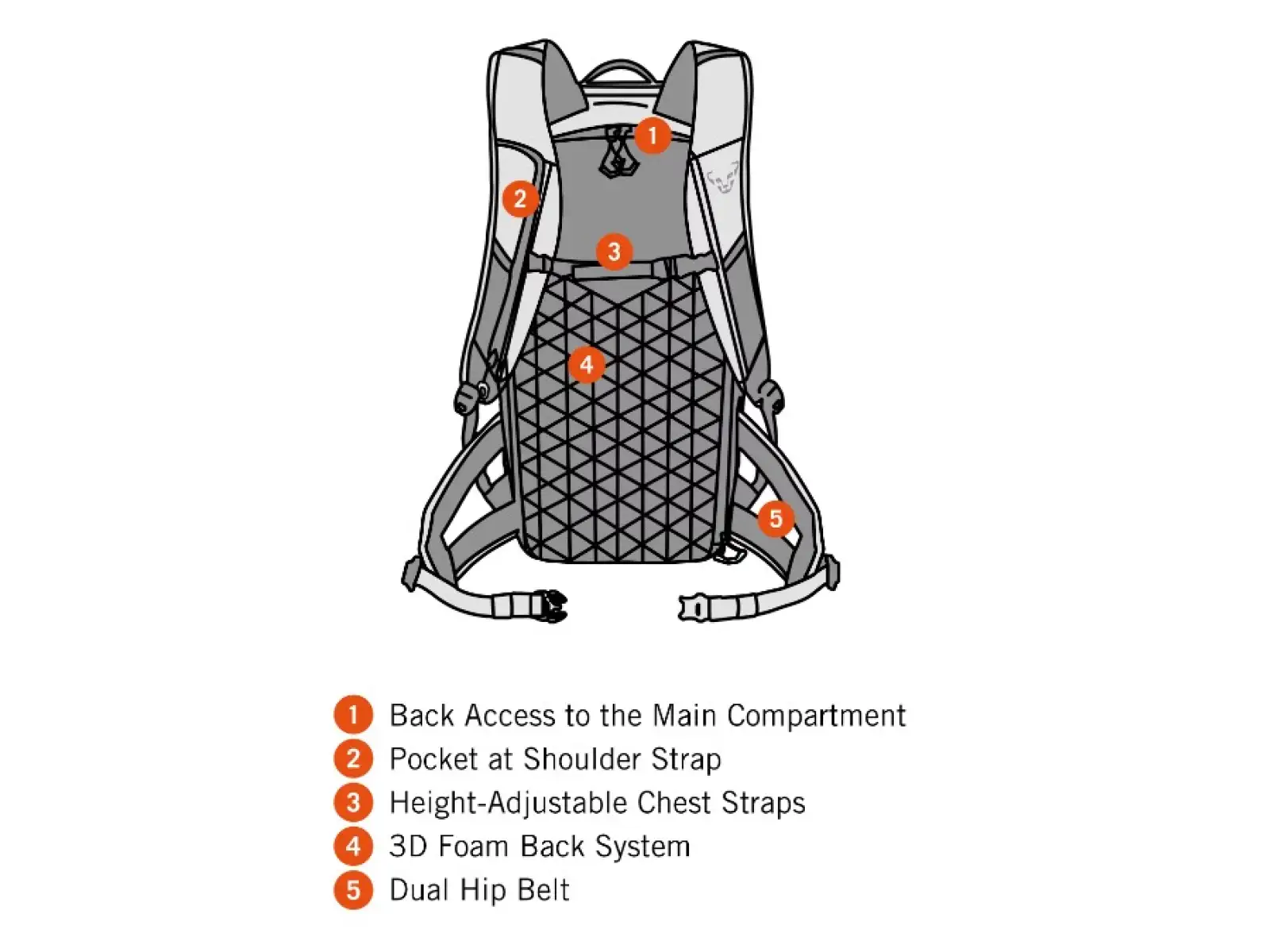Dynafit Tigard Rucksack 24 l Atlantic/Black Out