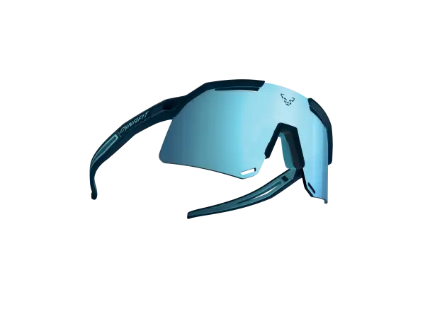 Dynafit Ultra Evo Brille in Blaubeere/Sturmblau