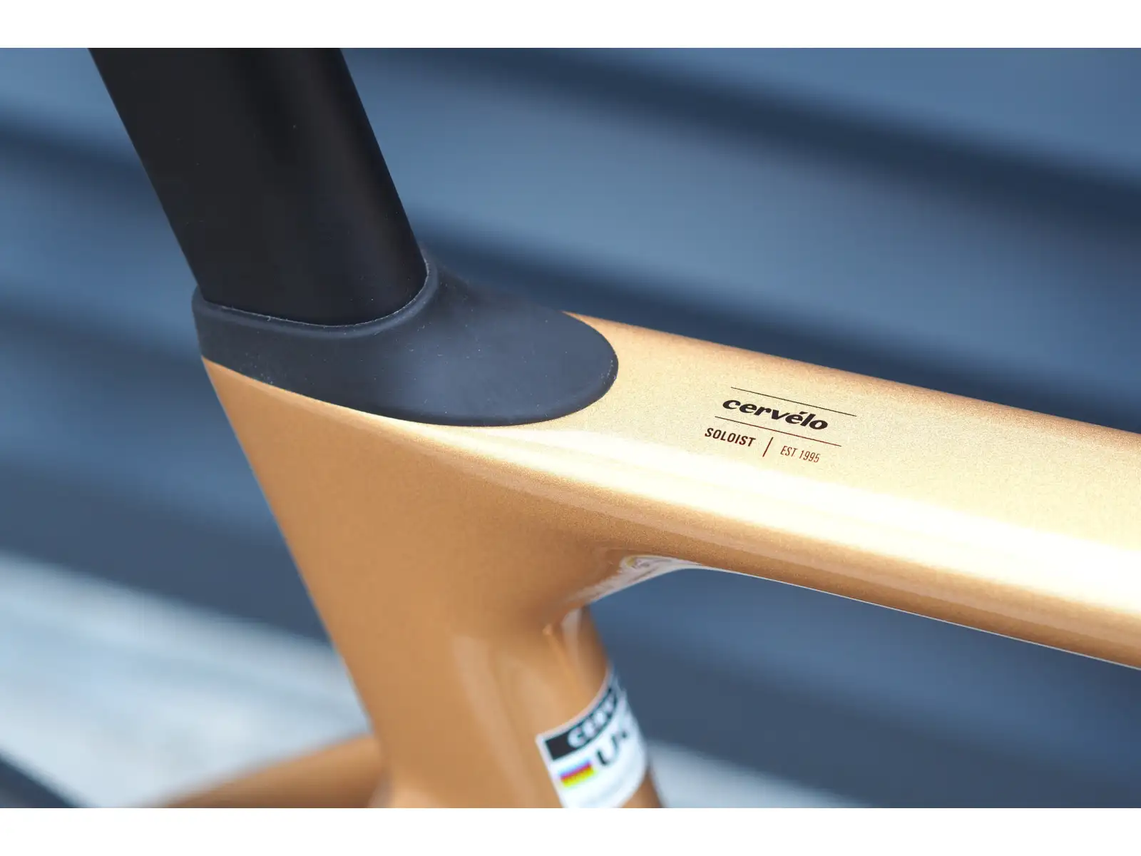 Cervélo Soloist Force eTap AXS Rennrad Goldstaub
