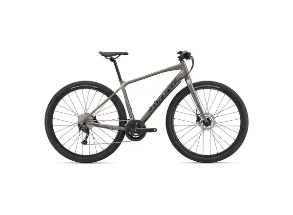Giant ToughRoad SLR 2 Trekkingrad Metal