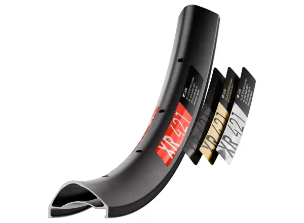 DT Swiss XR 421 29" MTB Felge schwarz