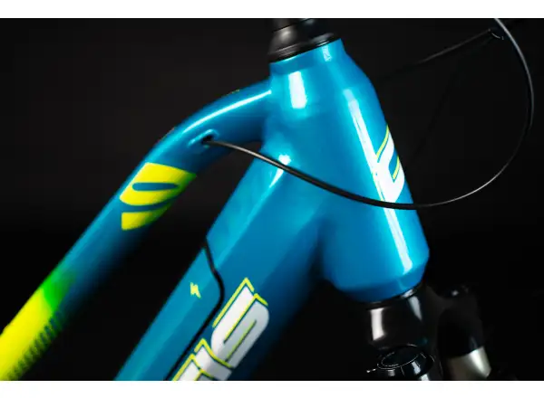 Crussis e-Cross low 9.8-S Cross-E-Bike