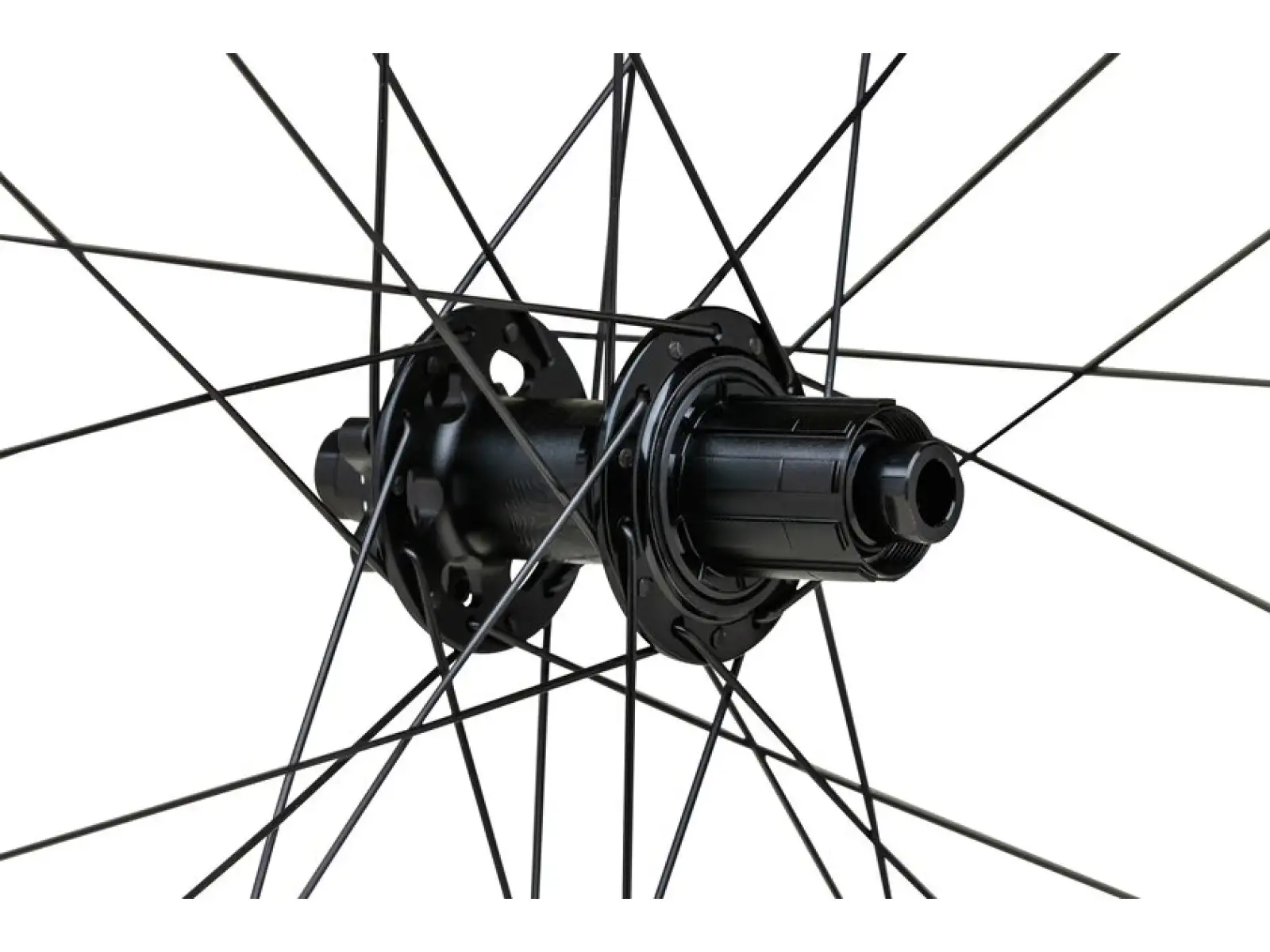 WTB Proterra Light i23 x 700C Hinterrad Laufrad mit Shimano HG 11-Gang.