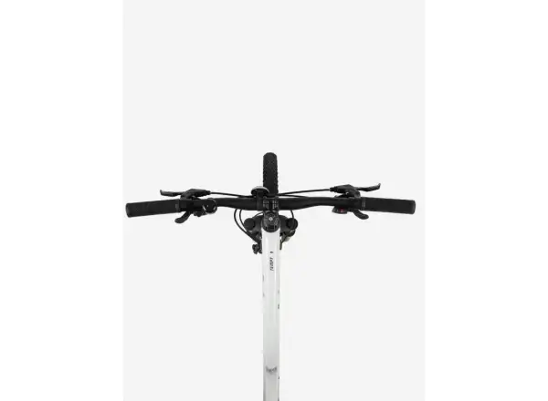 Liv Tempt 5 Mountainbike Schneewehen