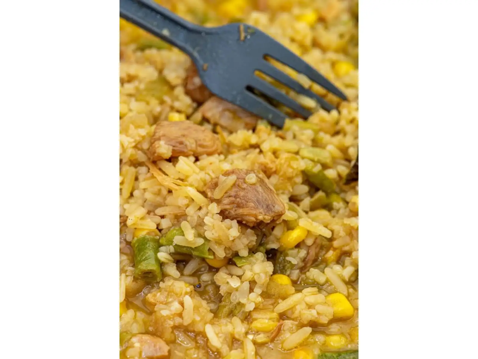 Summit To Eat dehydriertes Essen Gebratener Reis mit Hühnchen und Teriyaki-Sauce 202 g