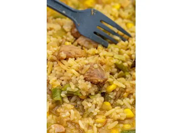Summit To Eat dehydriertes Essen Gebratener Reis mit Hühnchen und Teriyaki-Sauce 202 g