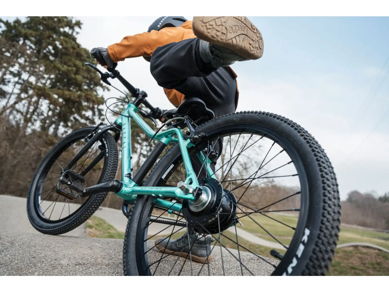 Rascal 20 Limited Kinderfahrrad Emerald