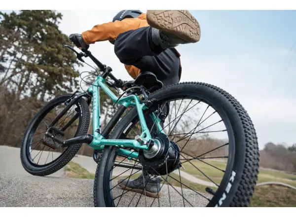Rascal 20 Limited Kinderfahrrad Emerald