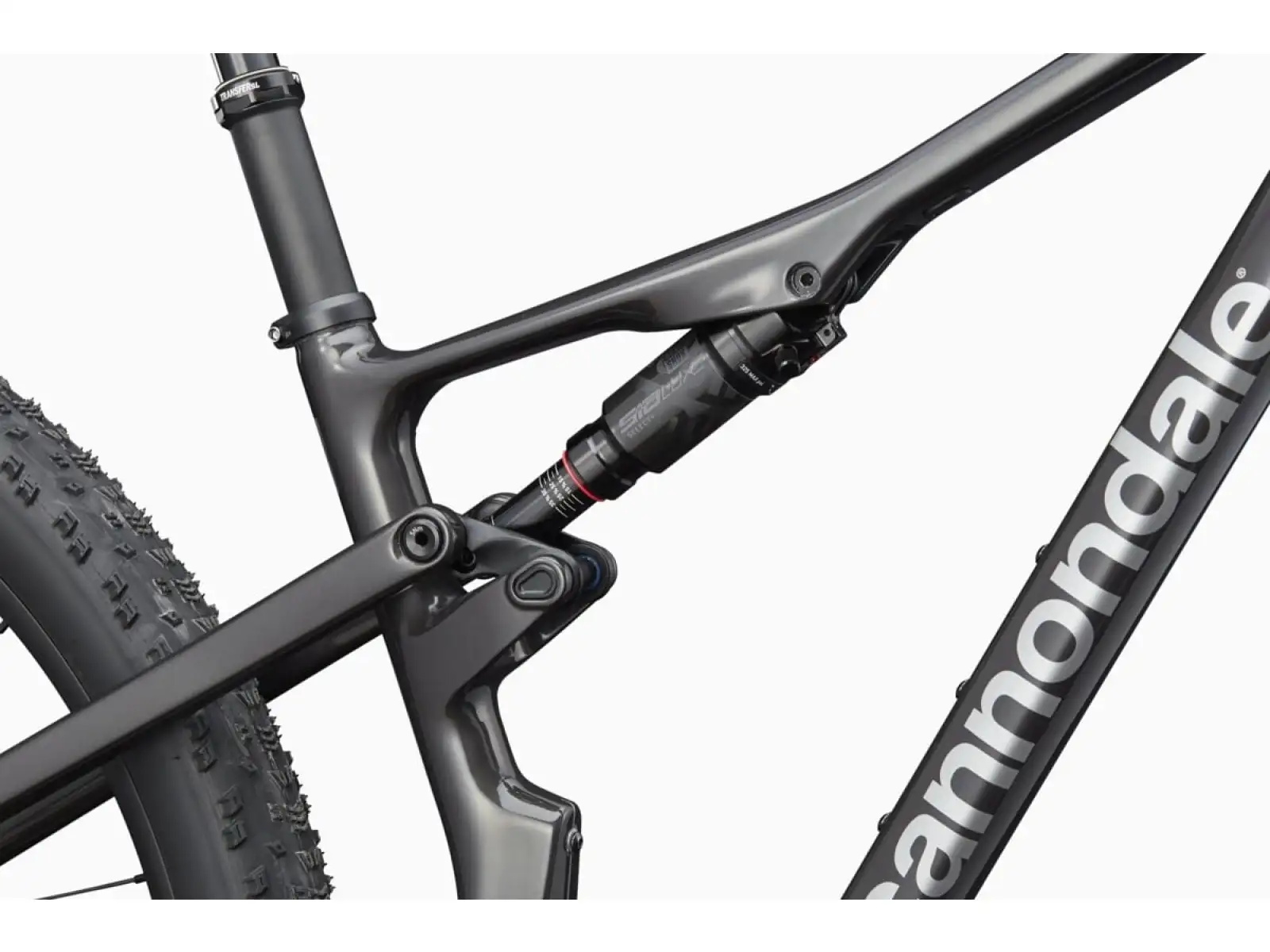 Cannondale Scalpel 2 Lefty Mountainbike Rauchschwarz