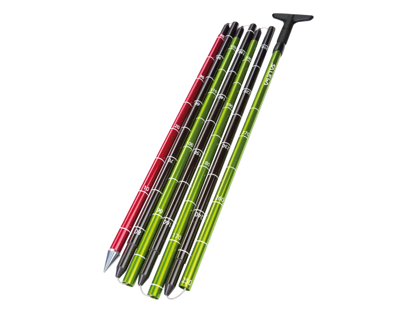Salewa Lightning 320 Pro Sonde Grün/Schwarz