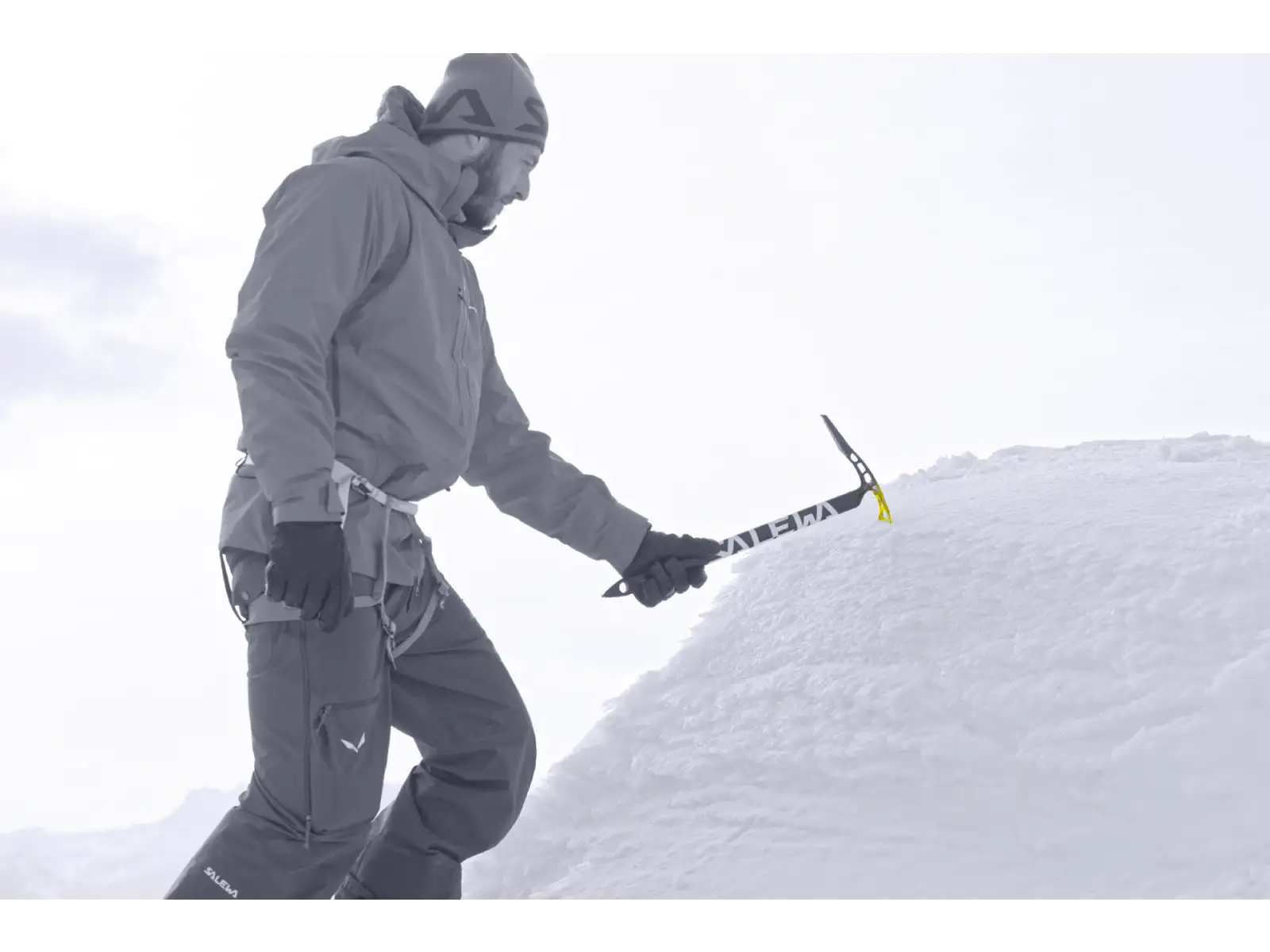 Salewa Alpine-X Eispickel
