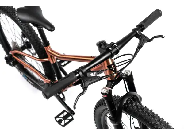 Rascal Wild 24 Kinderfahrrad Bronze