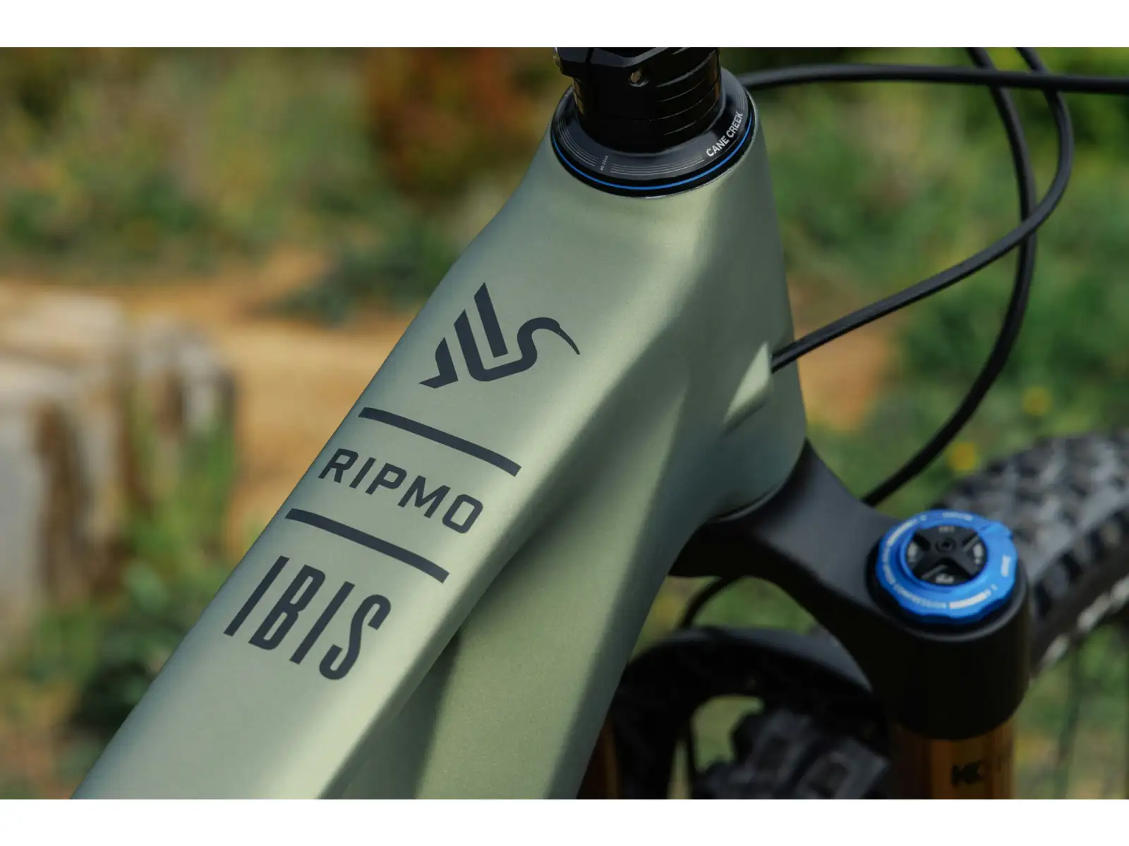 Ich habe ein Ibis Ripmo V3 Deore XT Mountainbike in der Olive Swamp Monster Farbe.