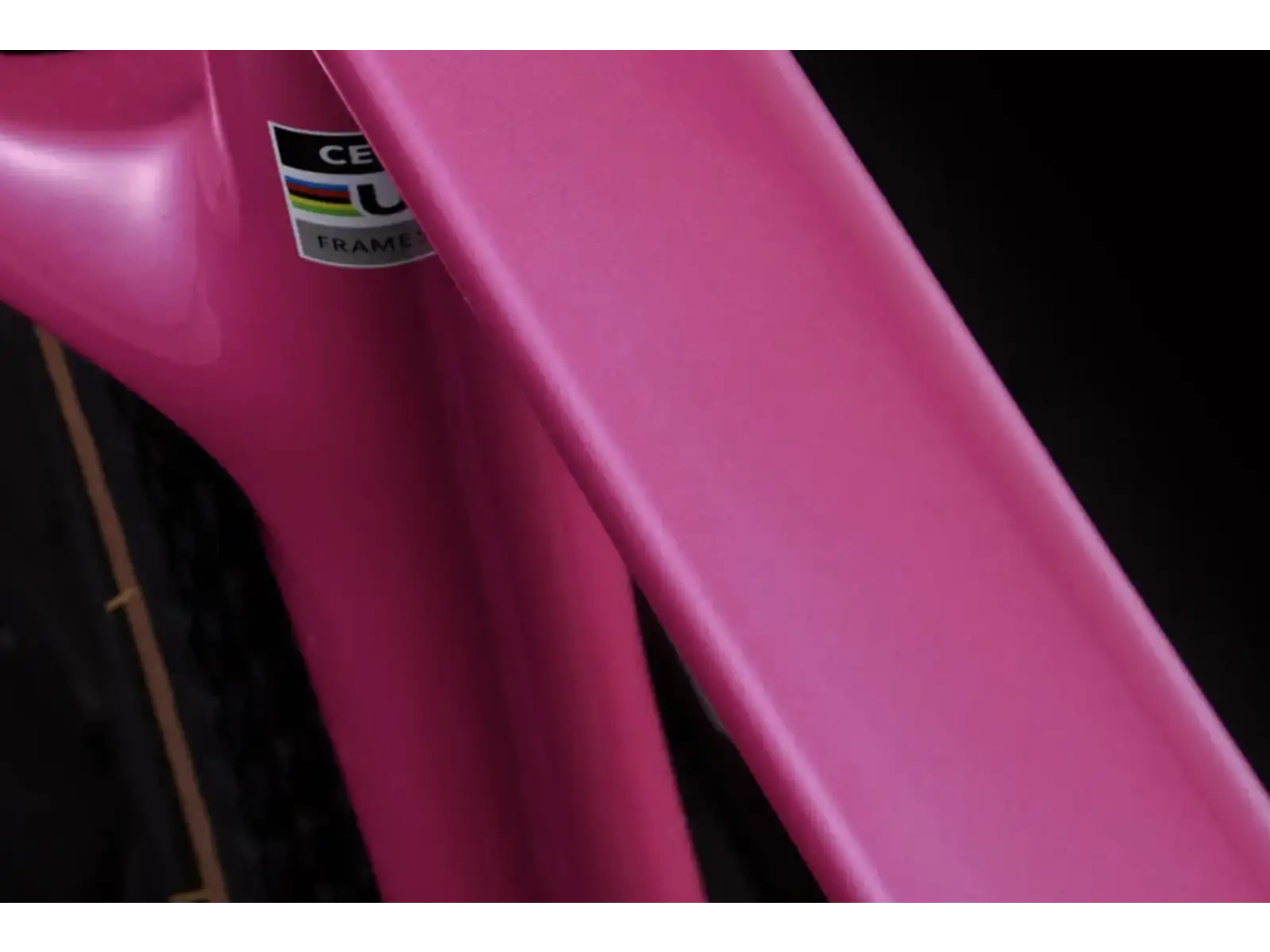 Cervélo Aspero SRAM Force AXS 1 Gravelbike Dusty Unicorn