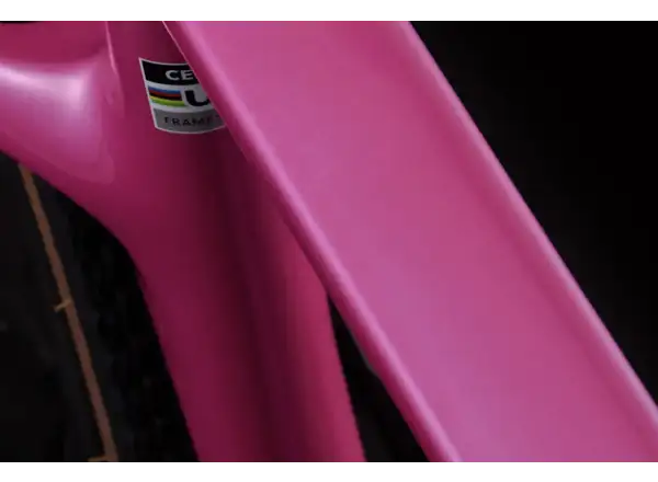Cervélo Aspero SRAM Force AXS 1 Gravelbike Dusty Unicorn