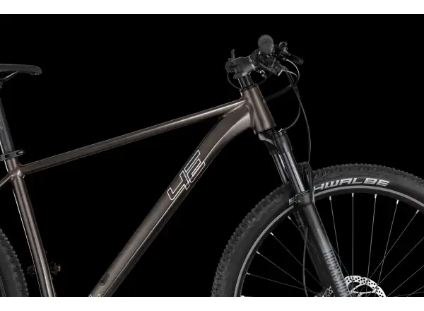 4Ever Prodigy Race 29" Mountainbike Black/hologram