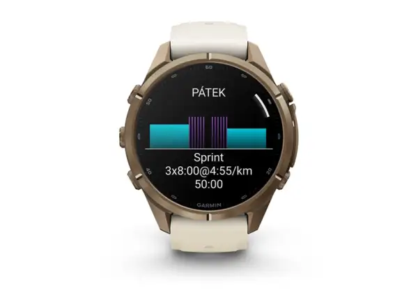 Garmin fenix 9 Pro inReach 43 mm Smartwatch Autumn gold titanium/Cream/french gray