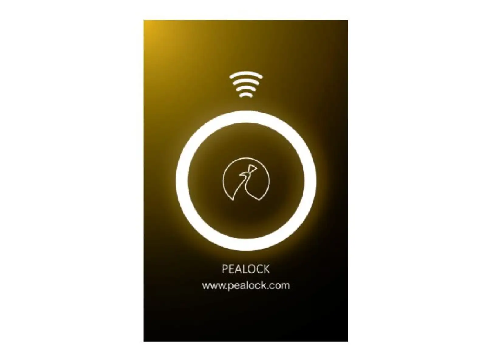 Pealock NFC Karte schwarz