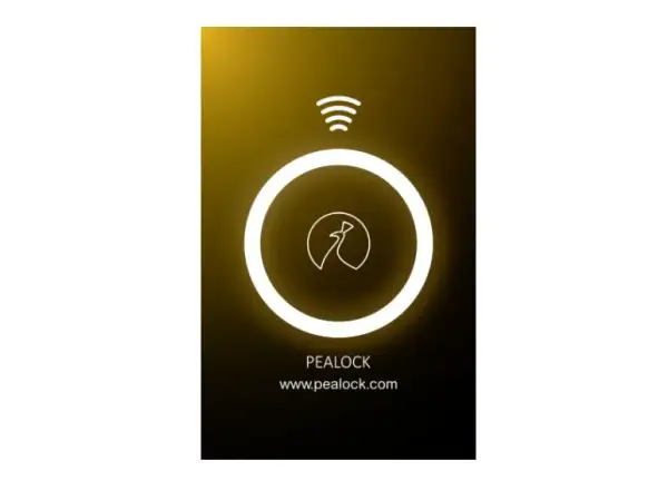 Pealock NFC Karte schwarz