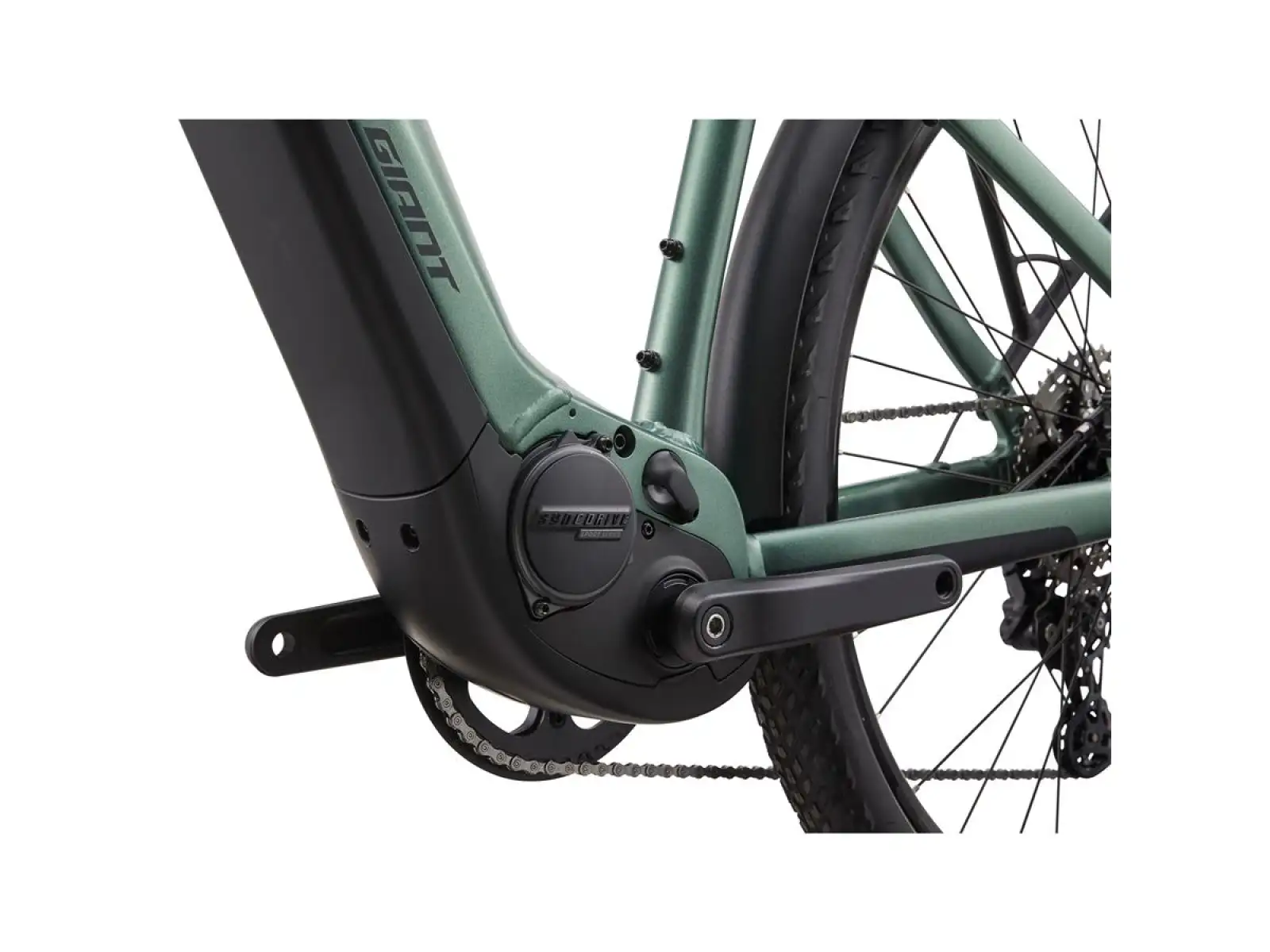 Giant Explore E+1 STA Trekking-E-Bike misty forest