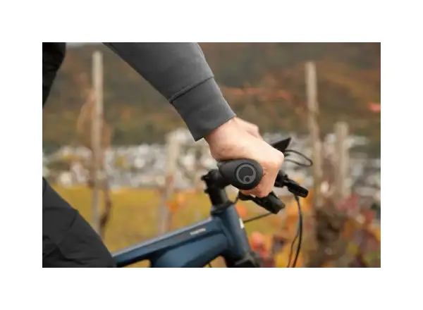 Ergon GT1 Griffe, Größe L, schwarz