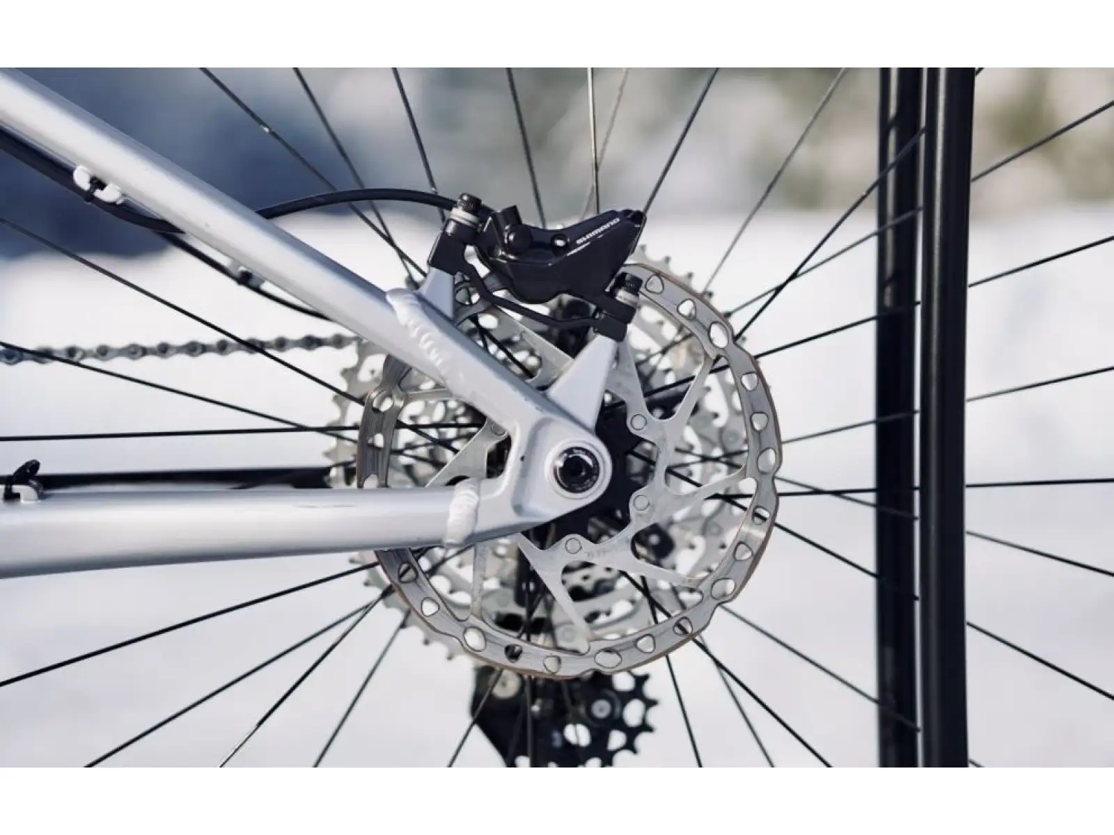 Rock Machine Blizz e60-29 Glanz Silber/Schwarz E-Bike.