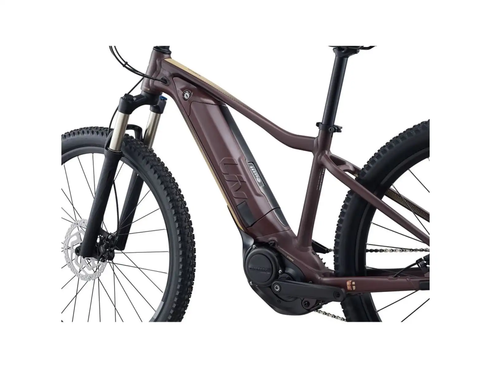 Liv Tempt E+ 1 29 Damen E-Bike Mountainbike Figuier