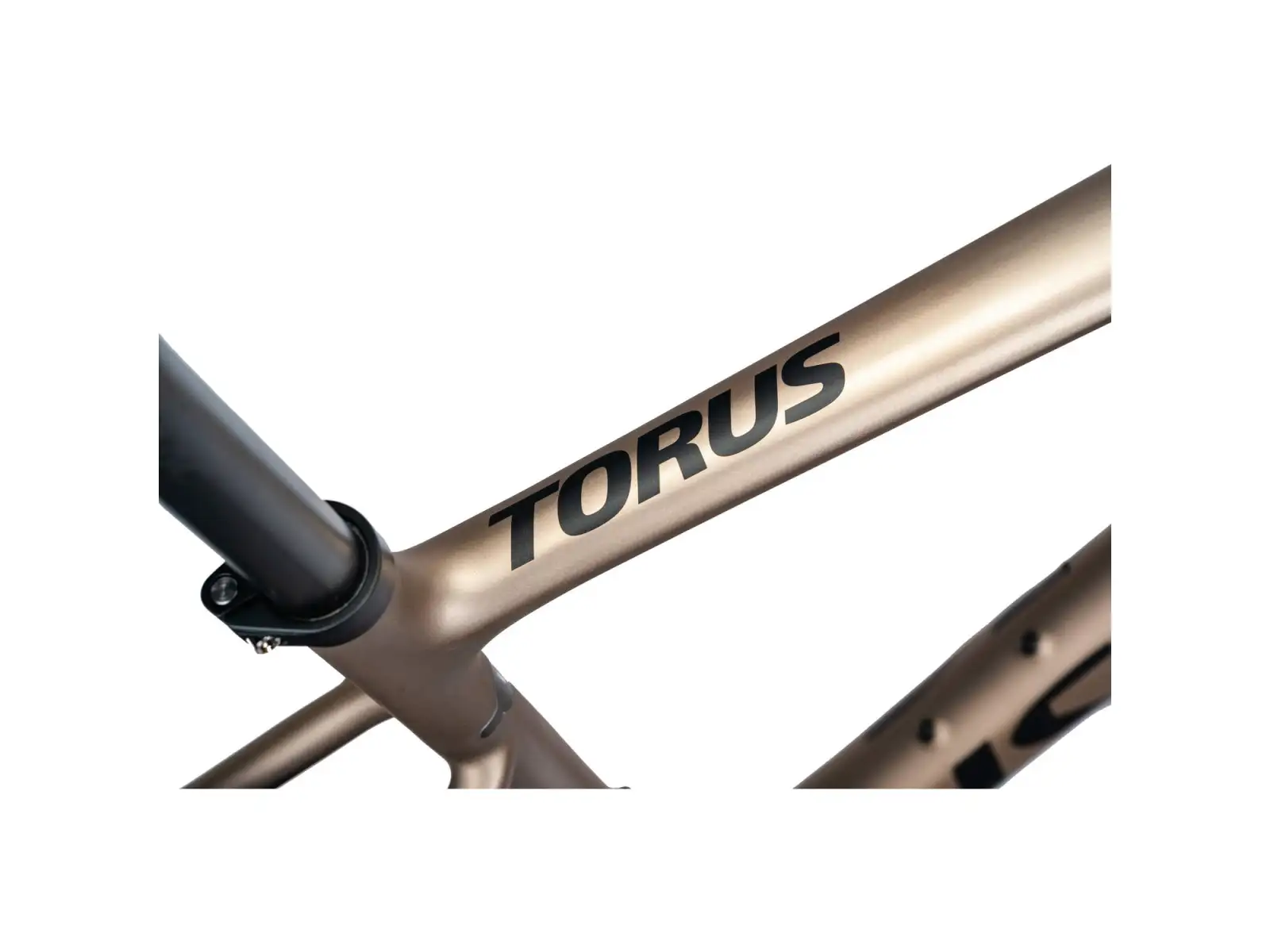 Isaac Torus Xplore GRX825 Di2 2x12 Gravelbike Blast Bronze