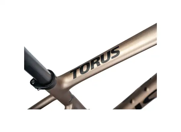Isaac Torus Xplore GRX825 Di2 2x12 Gravelbike Blast Bronze