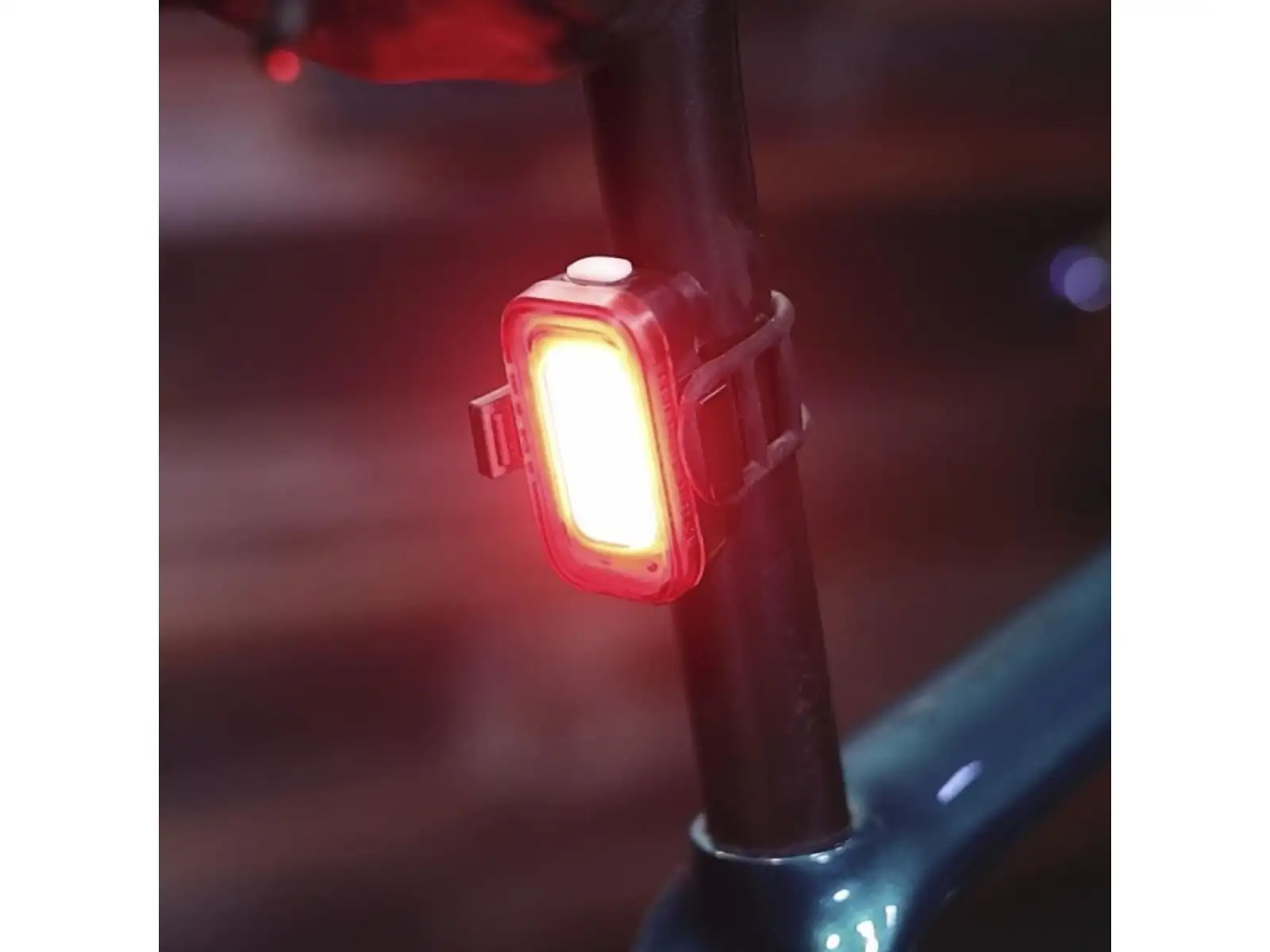 Blackburn Grid Rear Rücklicht