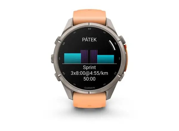 Garmin Fénix 9 Pro inReach 43 mm Smartwatch Carbon gray DLC Titanium Black/Pebble gray