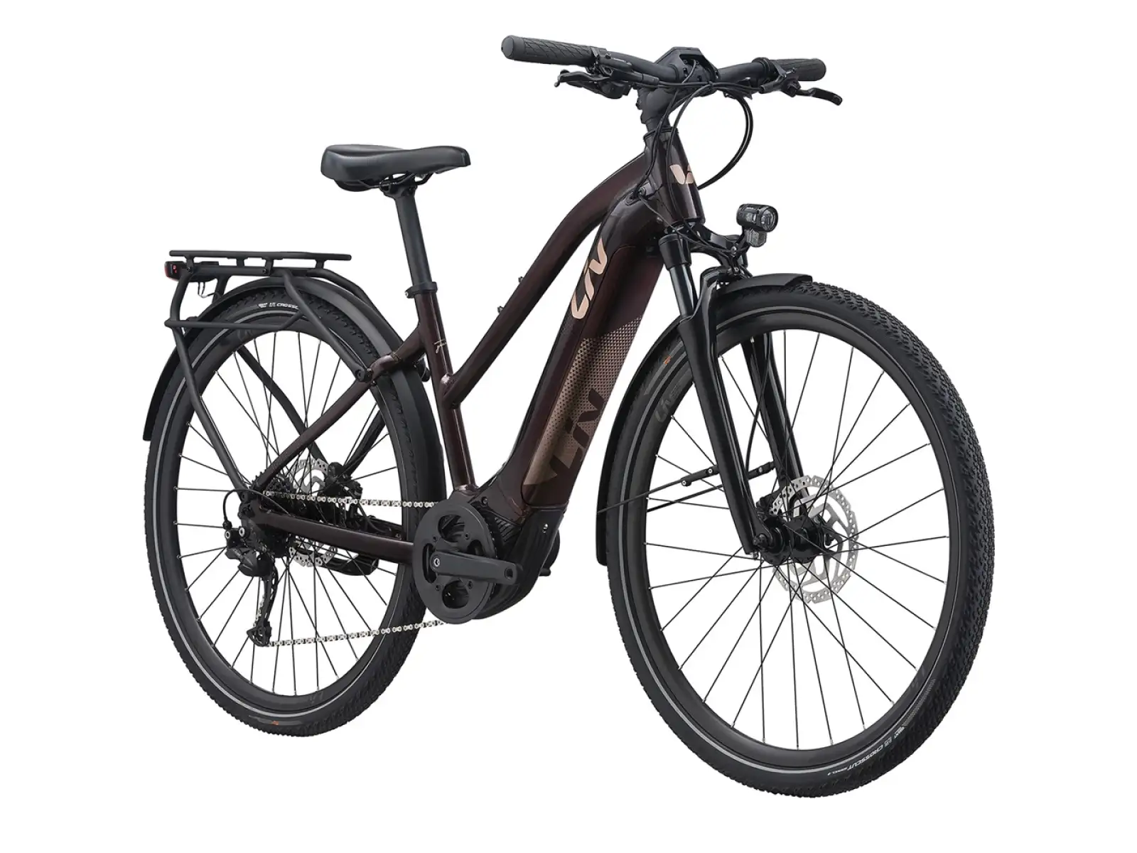 Liv Amiti E+2 Trekking E-Bike in Rosewood Color