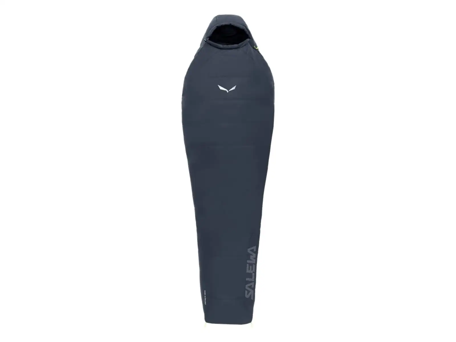 Salewa Rozes Ultraleicht Schlafsack 9°C ombre blue