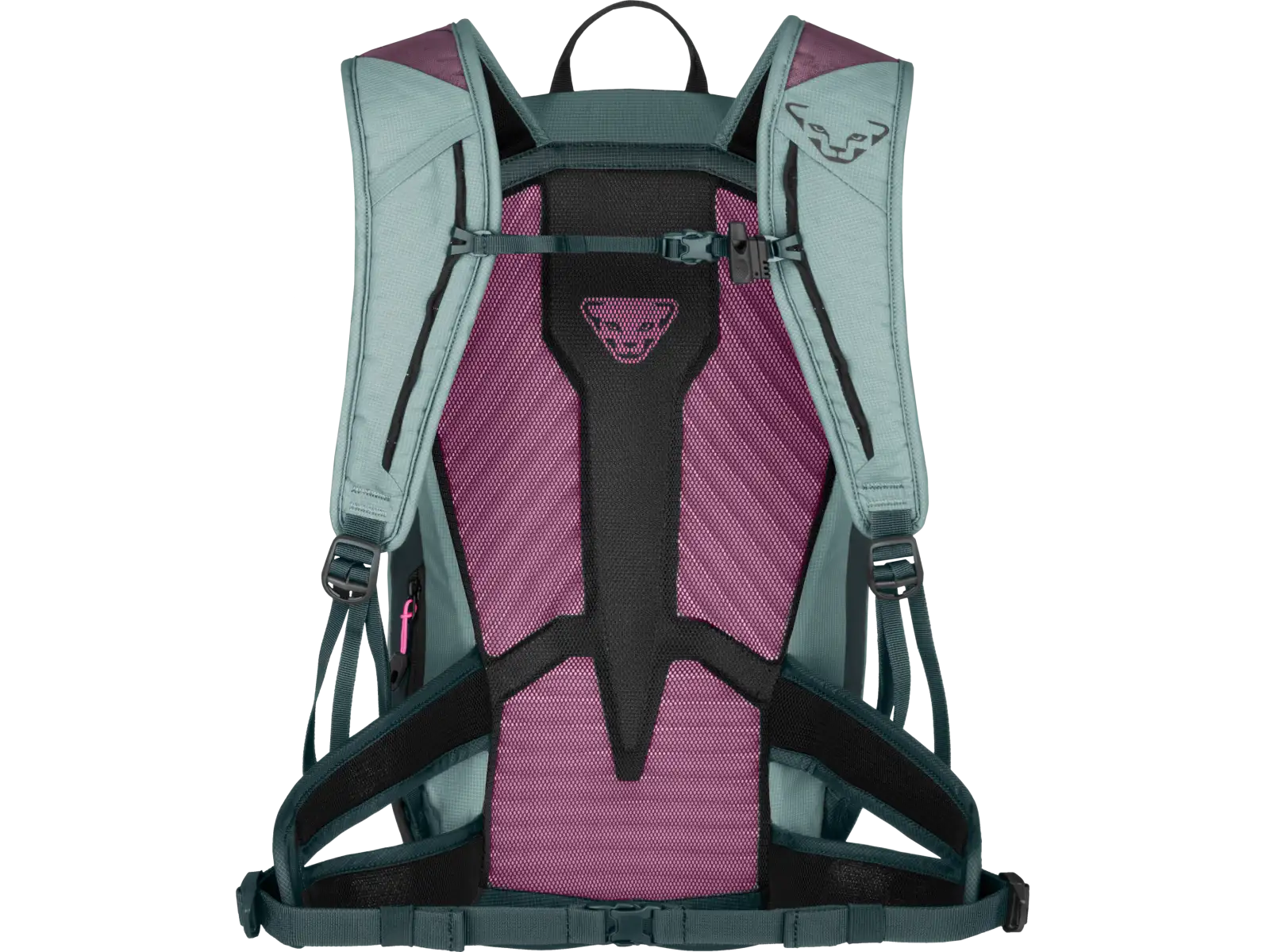 Dynafit Transalpe 22 Damenrucksack Cloud Blue/Cinder