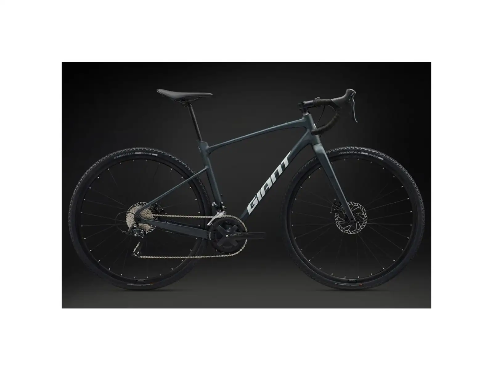 Giant Revolt 2 Gravel Fahrrad Asphalt Green