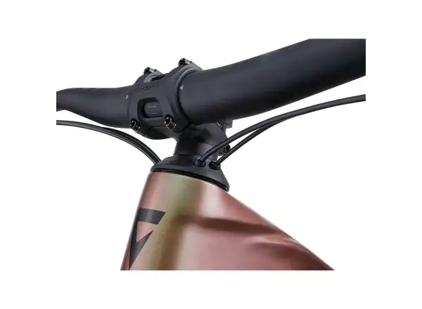 Giant Trance X Advanced E+ EL 3 E-Mountainbike in der Farbe Messier/Panther