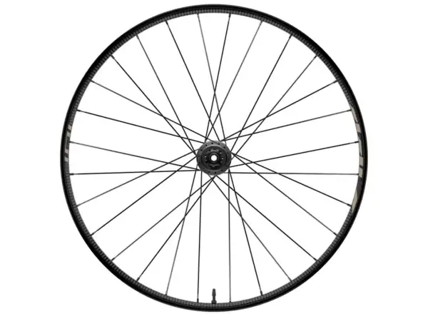 Zipp 101 XPLR Carbon Disc TL CL Hinterrad 12x142 mm durchSteckachse Sandsturm