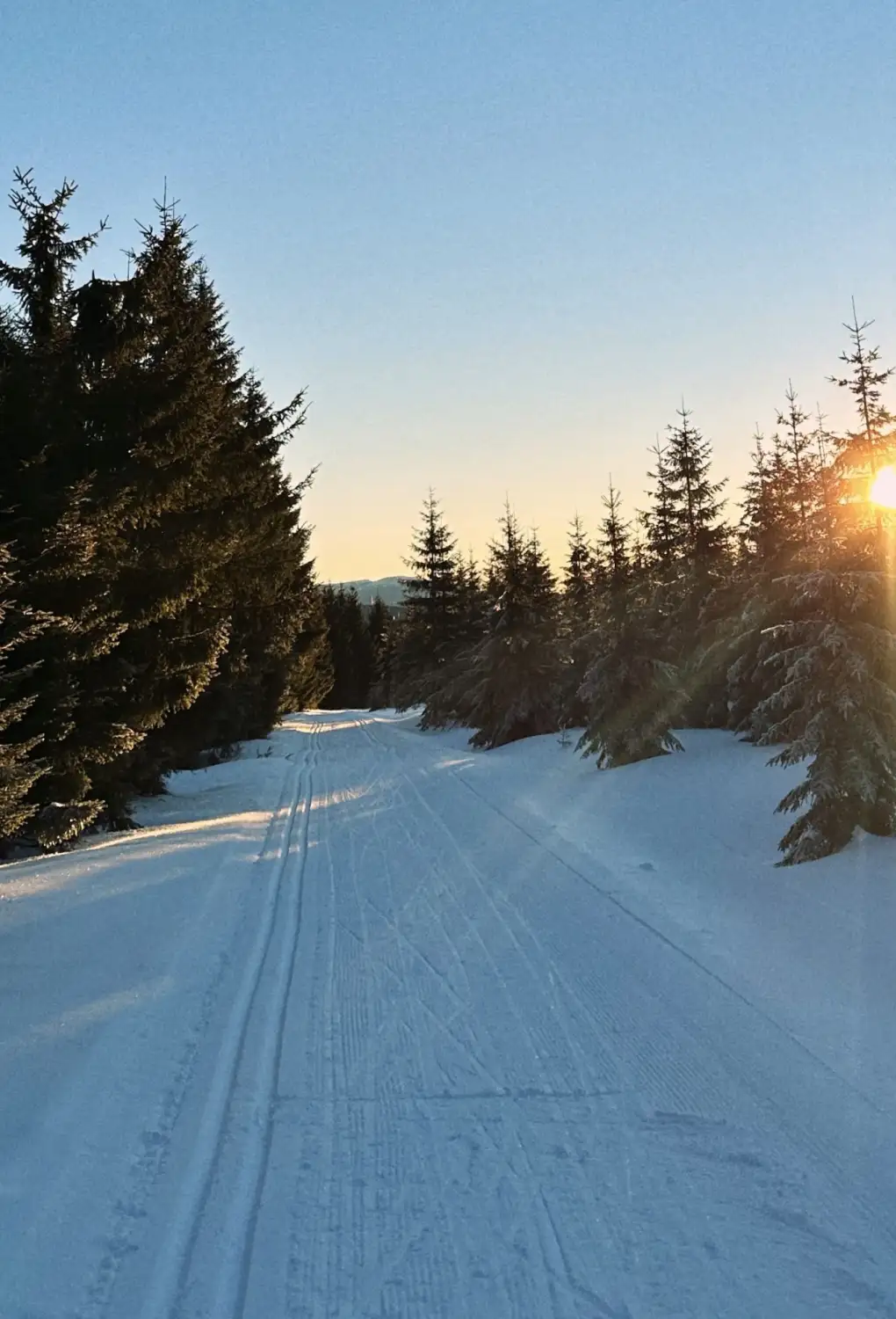 Wohin in den Jizerky zum Skilanglauf? Tipp für eine Strecke, wo Sie (fast) allein sein werden.