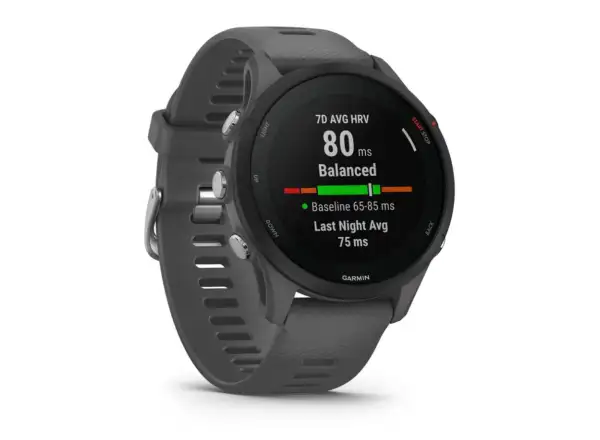 Garmin Forerunner 255 Smartwatch Slate Gray