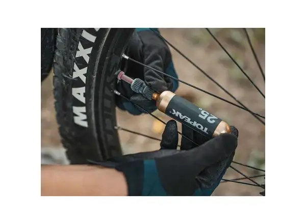 Topeak Nano AirBooster Pumpe Schwarz