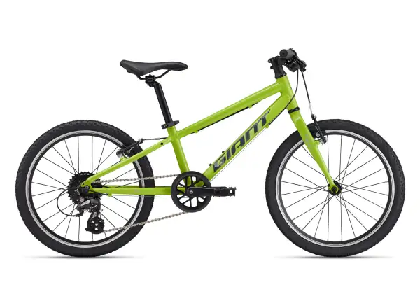 ARX 20 Lime Punch