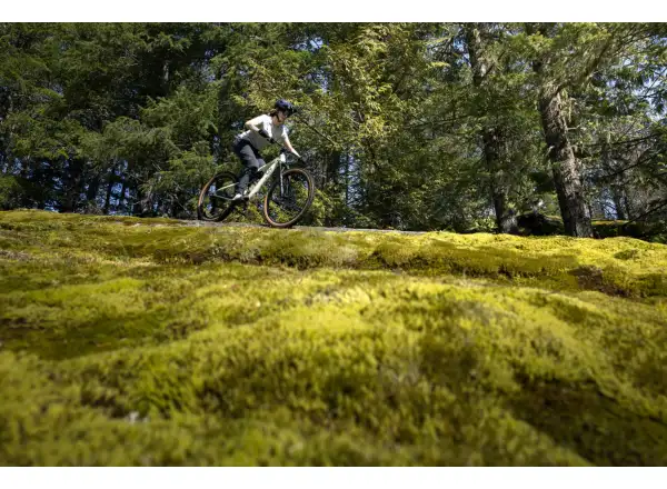 Liv Embolden 2026 Mountainbike Pale Moss
