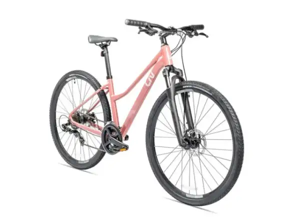 Liv Rove 4 DD Trekking Fahrrad in Terra Rosa.