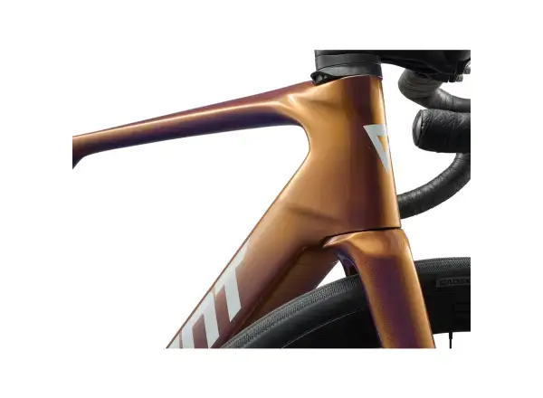 Giant Defy Advanced E+ Elite 1 Renn-E-Bike Meteor Storm