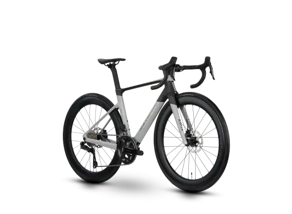 Raymon Arva Pro Rennrad Grey/Carbon