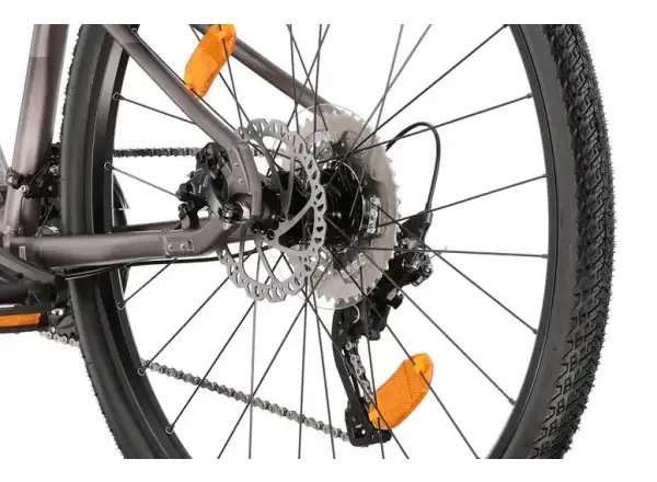 Liv Rove 1 DD Damen-Trekkingrad Dark Eclipse